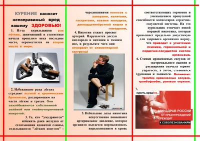 Плакат против курения с 2 карманами (арт.АГ-04) купить в Москве с  доставкой: цены в интернет-магазине АзбукаДекор