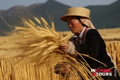 Размол пшеницы | Переработка зерна | Группа Бюлер