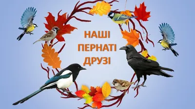 У Запоріжжя прилетіли золотомушки жовточубі, фото - це найменші птахи  України | ZPRZ.CITY