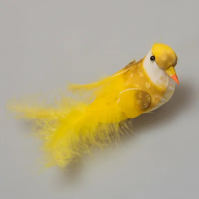 Декоративная фигурка птички из натуральных перьев купить недорого —  выгодные цены, бесплатная доставка, реальные отзывы с фото — Joom