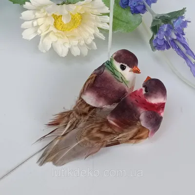 Набор птичек на клипсе в ассортименте в интернет магазине Украфлора