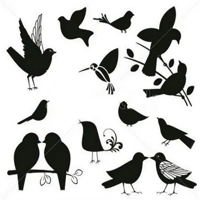 фантастическая краска пружинных птичек, созданная на основе бумажных обоев  Иллюстрация штока - иллюстрации насчитывающей школа, цифрово: 269181902