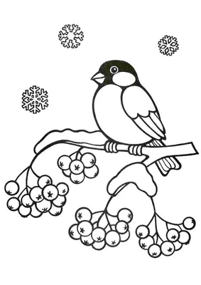 Шаблон для презентации птицы зимующие снегири • Фоник | fonik.ru