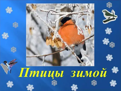 Маленькие птички зимой на кормушке, …» — создано в Шедевруме