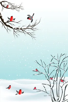 Раскраска птицы зимой. Птицы зимой для детей. Раскраски.