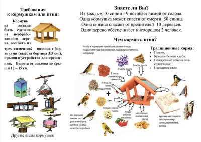 Птицы в зимнем снегу зима Праздник весны птицы радость снег снег зима В  поисках Фон Обои Изображение для бесплатной загрузки - Pngtree