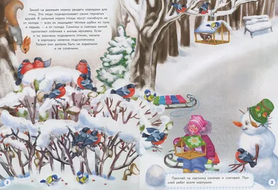 Где зимуют белорусские птицы, и какие пернатые из других стран ищут лучшей  жизни у нас - Минск-новости