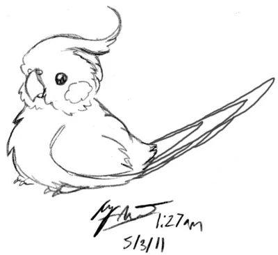 Рисунок карандашом для срисовки птицы - 53 фото