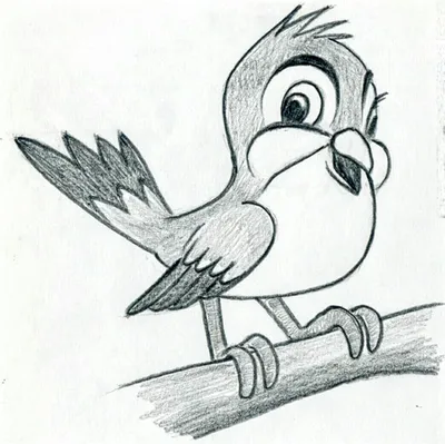 Птица рисунок легкий для срисовки - 44 фото