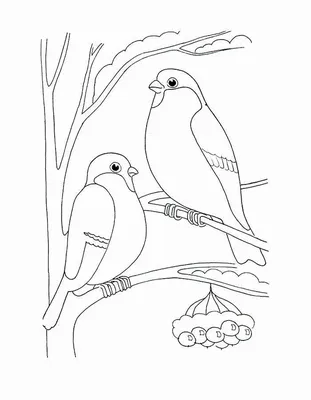 Идеи для срисовки покормите птиц легкие (88 фото) » идеи рисунков для  срисовки и картинки в стиле арт - АРТ.КАРТИНКОФ.КЛАБ