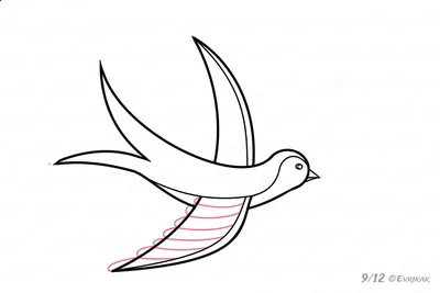 Детские рисунки птиц для срисовки легкие и красивые