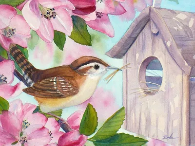 Птицы весной (2 корпус) | Сайт детского сада №14 г. Ишима