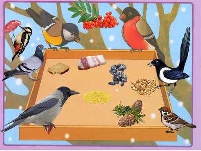 Картинки животные и птицы весной для детей (69 фото) » Картинки и статусы  про окружающий мир вокруг