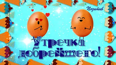 ДОБРОЕ УТРО! 🧡🦋🌼💐🏵🌿🌼🦋 ВСЕ БУДЕТ ХОРОШО! 🧡 | Белые цветочные  композиции, Цветы во дворе, Водные растения