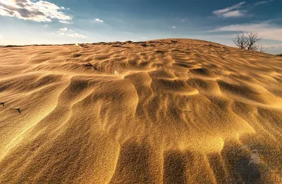 Почвы полупустынь и пустынь – описание и фото