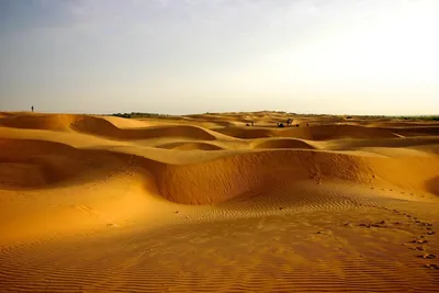 Фото пустыни Тар (88 фото)