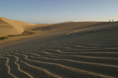 Одиночество И Безнадежность Пустыни — стоковые фотографии и другие картинки  Без людей - Без людей, Вертикальный, Возвышенность - iStock