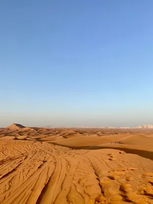 Солнце Пустыни — стоковые фотографии и другие картинки Пустыня - Пустыня,  Песок, Без людей - iStock