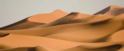 Ветер пустыни»: члены экспедиции исследовали почвы южных регионов России |  Русское географическое общество