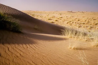 Взгляд пустыни стоковое изображение. изображение насчитывающей небо -  33434873