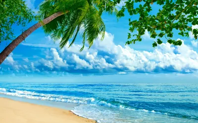 Фон рабочего стола где видно море, лето, пальмы, берег, песок, волны,  отдых, острова, красивые обои, Sea, summer, palms, shore, sand, waves,  rest, islands, beautiful wallpaper