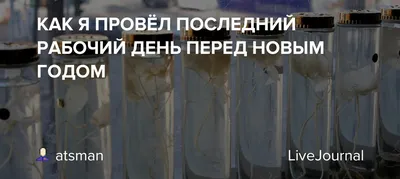 Мне всю ночь снился мой рабочий день. Кто мне его оплатит?? / повтор ::  работа :: Баян (баян, боян, баяны, бояны, баянище, боянище) :: сон ::  грустные картинки / смешные картинки и