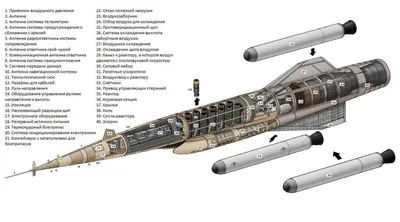 Иллюстрация запуска ракеты инфографики PNG , ракета, ракета клипарт,  техническое оформление ракеты PNG картинки и пнг рисунок для бесплатной  загрузки