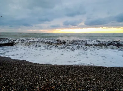 Ракушки и белые камни на берегу моря · Бесплатные стоковые фото