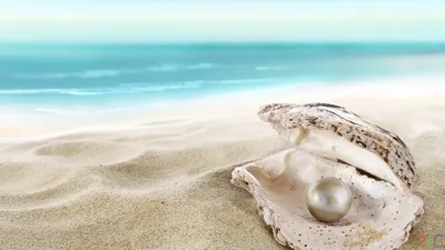 Ракушек, на берегу моря. Отдохнуть на пляже Tropical Стоковое Изображение -  изображение насчитывающей морск, естественно: 182388121