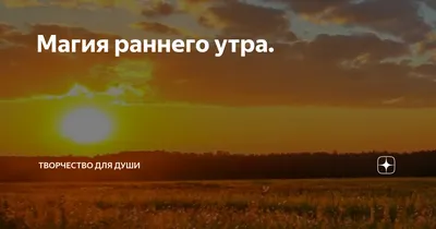 Освежитель воздуха Chirton Light Air Прохлада раннего утра, 300 мл купить  по низким ценам в интернет-магазине Uzum (229674)