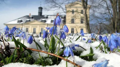 Москвичей ждет ранняя весна