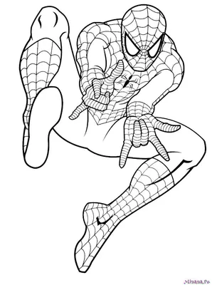Раскраска Человек-паук распечатать - Человек-паук