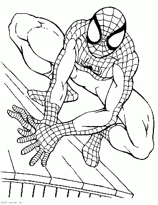 Человек паук возвращение домой - Супергерои Марвел - Раскраски антистресс