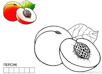Раскраска Фрукты для детей 🖍. Раскрашиваем любимыми цветами бесплатно и с  улыбкой 👍