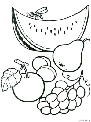 Раскраска фрукты 6 | Minana.ru
