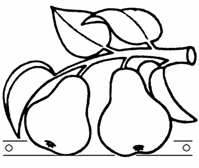 Раскраска № 3898 - Ягоды и фрукты скачай или рисуй на сайте 8o8.ru