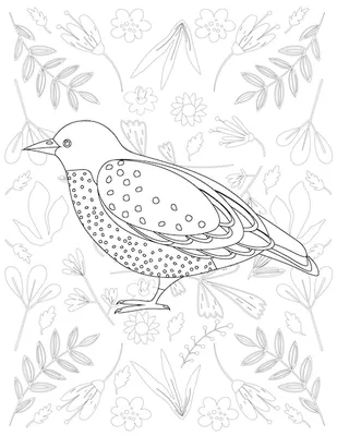 Рисунок на тему птицы (68 фото) » Рисунки для срисовки и не только