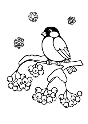 Раскраски птицы зимой - 62 фото