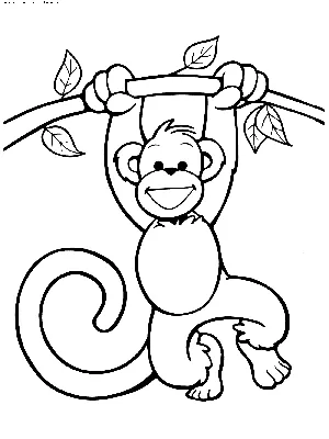 Раскраска Веселая обезьянка | Раскраски обезьянки. Раскраска обезьяна для  детей