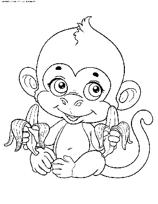 Раскраска Обезьянка с бананами | Раскраски обезьянки. Раскраска обезьяна  для детей