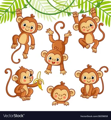 Раскраска Маленькая обезьянка распечатать или скачать