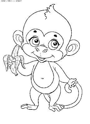 Раскраска Обезьянка с бананом | Раскраски обезьянки. Раскраска обезьяна для  детей