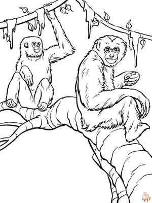 Как нарисовать для детей обезьяну