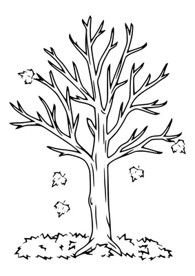 Загружай бесплатно раскраску Осеннее дерево на нашем сайте. Распечатай в  отличном качестве разрисовку О… | Fall coloring pages, Coloring pages,  Adult coloring pages