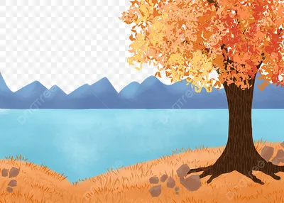 Осенние деревья: скачать и распечатать раскраски — 3mu.ru
