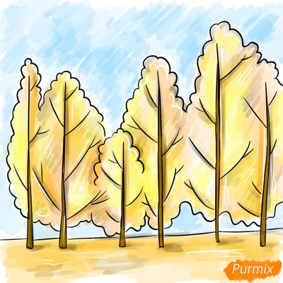 Рисунок : Осенние деревья ландшафта с желтым цветом Иллюстрация штока -  иллюстрации насчитывающей сад, художничества: 170417597
