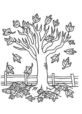 Как нарисовать осенний лес поэтапно 4 урока
