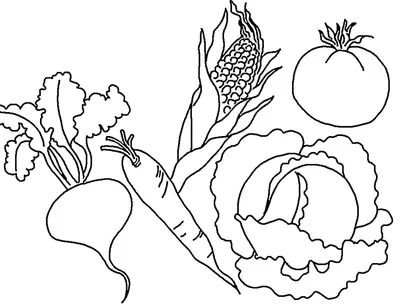 Трафарет-раскраска ОВОЩИ ТР-05 купить в Новосибирске - интернет магазин  Rich Family