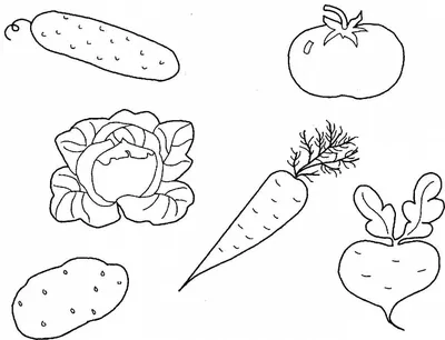 Книжка-раскраска, овощи, турнепс Иллюстрация вектора - иллюстрации  насчитывающей цвет, природа: 85474111