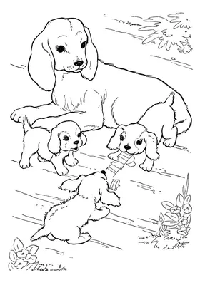 Раскраски вот, Раскраска собаки и щенки Домашние животные.